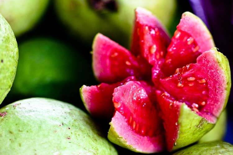 meyve şeker oranı guava