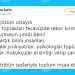 Attığı Tweet Yüzünden Hakkında Soruşturma Başlatılan Berna Laçin Gündemde
