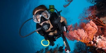 Yaz Bitmeden Tüplü Dalışa Başlamanız ve Sualtını Keşfetmeniz İçin 10 Neden