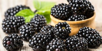 Kökünden Yaprağına Şifa Dolu Böğürtlen Hakkında Bilmeniz Gereken 25 Şey