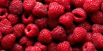 Antioksidan Deposu Ahududu Hakkında Bilmeniz Gereken 28 Şey