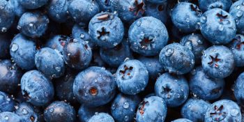 Doğal Antidepresan Yerine Geçen Yaban Mersini ve Sağladığı Diğer Faydalar