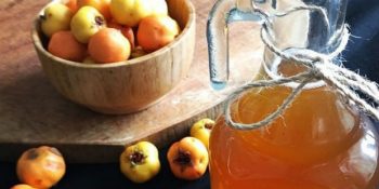 Gayriresmî Doktor Reçetesi; Alıç Sirkesi ve Faydaları