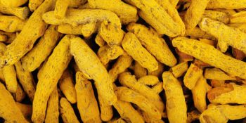 Altın Renkli Sihirbaz; Zerdeçal Bitkisi ve Saymakla Bitmeyen Faydaları