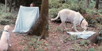 HAYTAP’tan What The Fluff Challenge Akımına Gerçekçi Bir Meydan Okuma