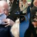 11 Maddede Pofudukluğu İle Gönüllere Taht Kuran İrlanda Cumhurbaşkanı Michael D. Higgins