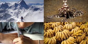 Bugüne Kadar Hiç Duymadığınız Havanıza Hava Katacak 8 İlginç Bilgi