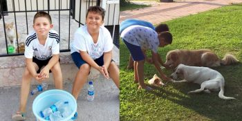 Kedilere Kendi Paralarıyla Mama Alabilmek İçin Su Satarak Gönülleri Fetheden 2 Güzel Çocuk