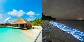 Şehrin Kalabalığından Kaçarak Yeryüzündeki Cennet Maldivler’e Gitmeniz İçin 13 Sebep