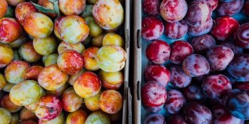 Yaz Mevsiminin Gözdesi Erik Hakkında Bilmeniz Gerek 8 Şey