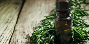 Doğa Dostu Deodorantın Özü Çay Ağacı Hakkında Bilmeniz Gereken 7 Şey