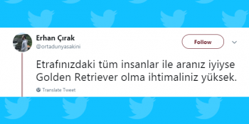 Okurken Keyfinizi Yerine Getirecek Haftanın En Güzel 43 Tweeti