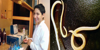 On Binlerce Yıl Sonra Hayata Dönerek Bilim Dünyasını Heyecanlandıran Solucanlar