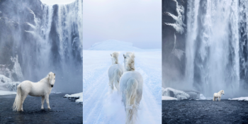 Drew Doggett’in Objektifinden İzlanda’da Yaşayan Atların Peri Masalını Andıran Fotoğrafları