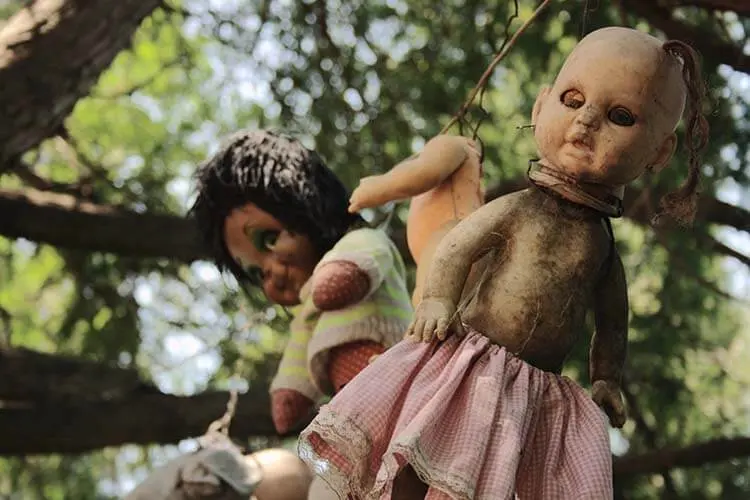 Dünyanın en ilginç adaları Xochimilco