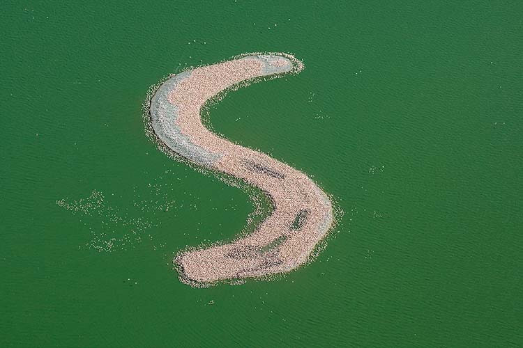 Dünyanın en ilginç adaları Kamfers Dam