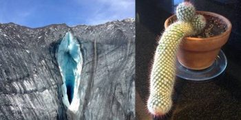 İçinizin Fesat Olduğunu Kanıtlayan Oldukça Masum 17 Fotoğraf