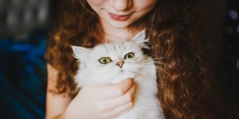 Sağı Solu Belli Olmayan Kedilerin Sizi Sevdiğini Gösteren 9 Davranış Biçimi