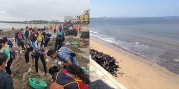 Bazı Hataların Telafisi Mümkün: Dünyanın En Büyük Temizliği Sonrası Kaplumbağalar Hindistan Sahillerinde