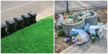 Terk Edilip Çöplüğe Dönüşen Mahalle Köşelerini Yeşillendirmenin Ruh Sağlığımız Üzerindeki İnanılmaz Etkileri