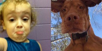 İnsanların Beklenmedik Bir Şekilde Telefonlarında Buldukları 11 Komik Fotoğraf