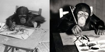 Doğuştan Resim Yapmaya Yetenekli 8 Sevimli Hayvan