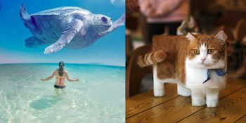 Dijital Sanat Çalışmalarıyla Kendine Hayran Bırakacak Sanatçı Aditya Aryanto