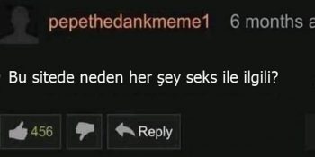 Dünyanın En Ünlü Porno Sitelerinden Pornhub’taki Birbirinden Komik 17 Yorum