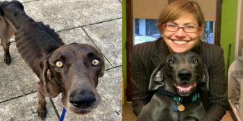 4 Ekim Hayvanları Koruma Gününde Sizi de Bir Hayvan Korumaya Teşvik Edecek 35 Fotoğraf