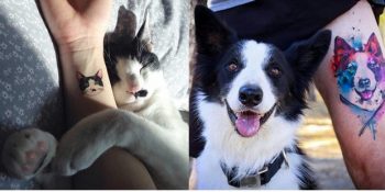 Sahiplendiği Hayvana Dövmesini Yaptıracak Kadar Bağlı Olan 14 İnsan