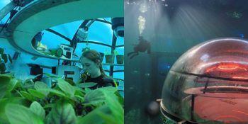 Tarım Anlayışını Kökten Değiştiren Dünyanın İlk Su Altı Çiftliğinin İlginç Hikayesi