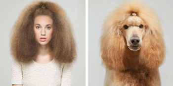 Sahiplerine Sahiplerinden Daha Fazla Benzeyen 16 Göz Alıcı Köpek