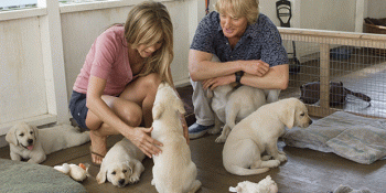 Hayvan Sevgisini Merkeze Alan ve Onların En İyi Dostlarımız Olduğunu Hatırlatan 13 Film