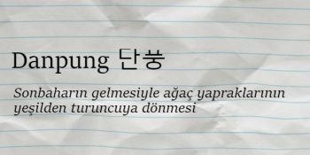 Dilimizde Karşılığı Olmayan 10 Anlamlı Korece Kelime