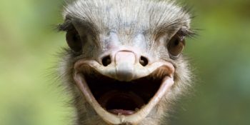 Pazartesi Gününe Cuma Gününe Başlar Gibi Başlamanızı Sağlayacak 11 Video