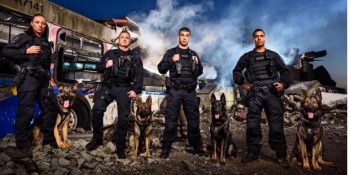 Vancouver Polisinin Meme Kanseri İçin Yaptığı Bağış Takvimi Ve Birbirinden Akıllı Köpekleri