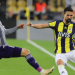 UEFA Avrupa Ligi Fenerbahçe Anderlecht Maç Özeti