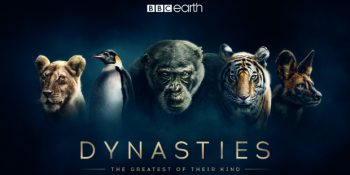 BBC Earth’ın Çığır Açan Yeni Belgeseli Soylar’ın (Dynasties) Perde Arkası [Özel Röportaj]