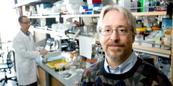 Adını Sıkça Duyduğumuz Biyomedikal Mühendisliği Nedir?