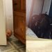 Çocuk Yapmaya Karar Vermeden Önce Bir Kez Daha Düşündürtecek 21 Aşırı Komik Fotoğraf