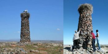 Leylekler Elektrik Tellerine Yuva Yapmasın Diye “Dev Evleri” Yapan Diyarbakırlı Çoban