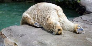 Akşamdan Kalma Bedeninizi Yeniden Oyuna Sokacak 19 Yöntem