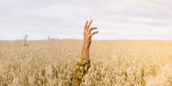 Yılın Son Ayına Başlarken Yepyeni Gelişmelerle 3 – 9 Aralık Haftalık Burç Yorumları