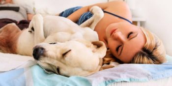 Köpeklerle Uyumanın Erkeklerle Uyumaktan Daha İyi Olduğunu Gösteren İlginç Araştırma