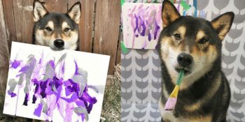 Muhteşem Soyut Resimler Ortaya Çıkaran Ressam Köpek Hunter