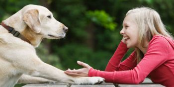 Bizi Anlamadıklarını Bilsek Bile Hayvanlarla Neden Konuşuruz?