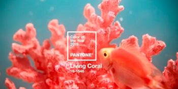 Pantone Tarafından 2019 Yılının Rengi Seçilen Living Coral: Canlı Mercan