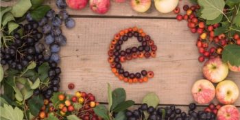 En Antioksidan Vitaminlerden E Vitamini Hakkında Bilmeniz Gereken 8 Şey