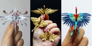 1000 Gün Boyunca Her Gün Origami Yapan Adamın Büyüleyici 41 Origamisi