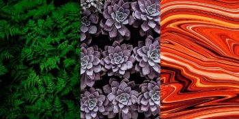 Renklerin Psikolojisi: 9 Rengin İnsanlar Üzerindeki Etkileri